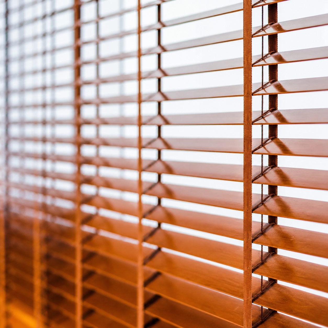 Venetian Blinds